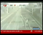 动图