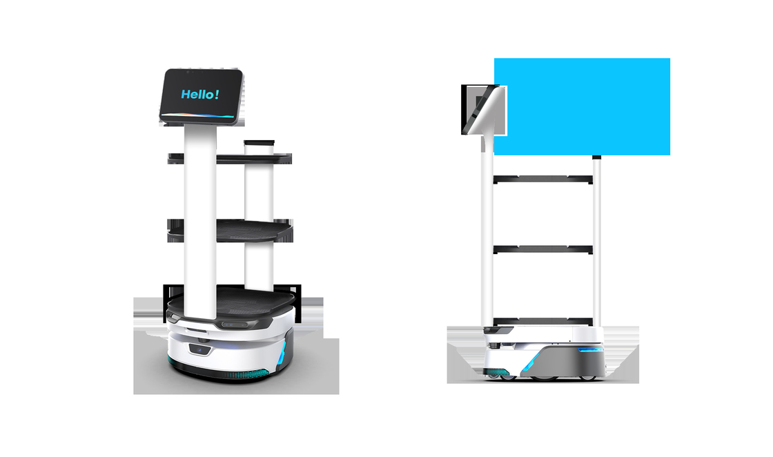 80kg Load Weight Collaborative Robot Arm with Maximum mapping area of 500m*500m